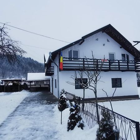 Villa Casa Roxana à Viseu de Mijloc Extérieur photo