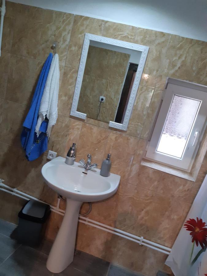 Villa Casa Roxana à Viseu de Mijloc Extérieur photo