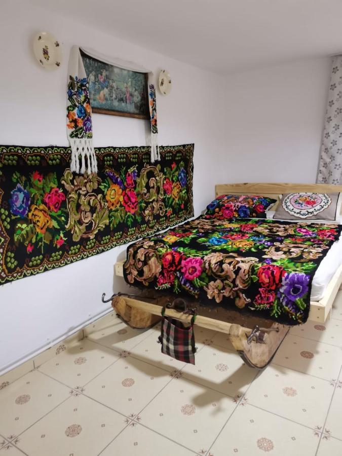 Villa Casa Roxana à Viseu de Mijloc Extérieur photo
