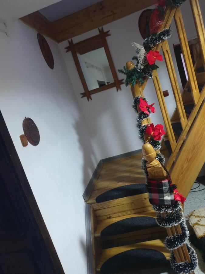 Villa Casa Roxana à Viseu de Mijloc Extérieur photo