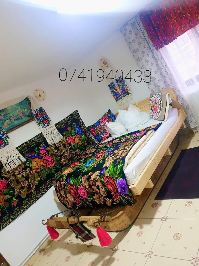 Villa Casa Roxana à Viseu de Mijloc Extérieur photo
