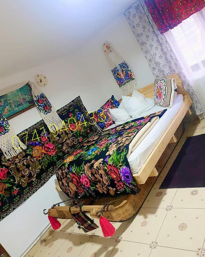 Villa Casa Roxana à Viseu de Mijloc Extérieur photo