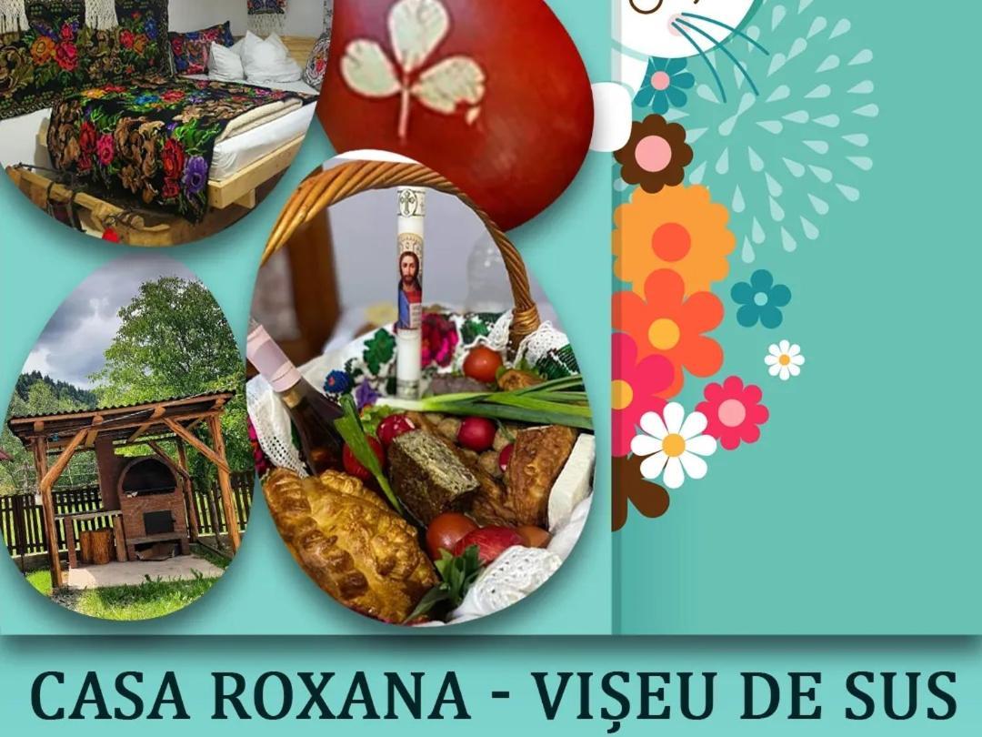 Villa Casa Roxana à Viseu de Mijloc Extérieur photo
