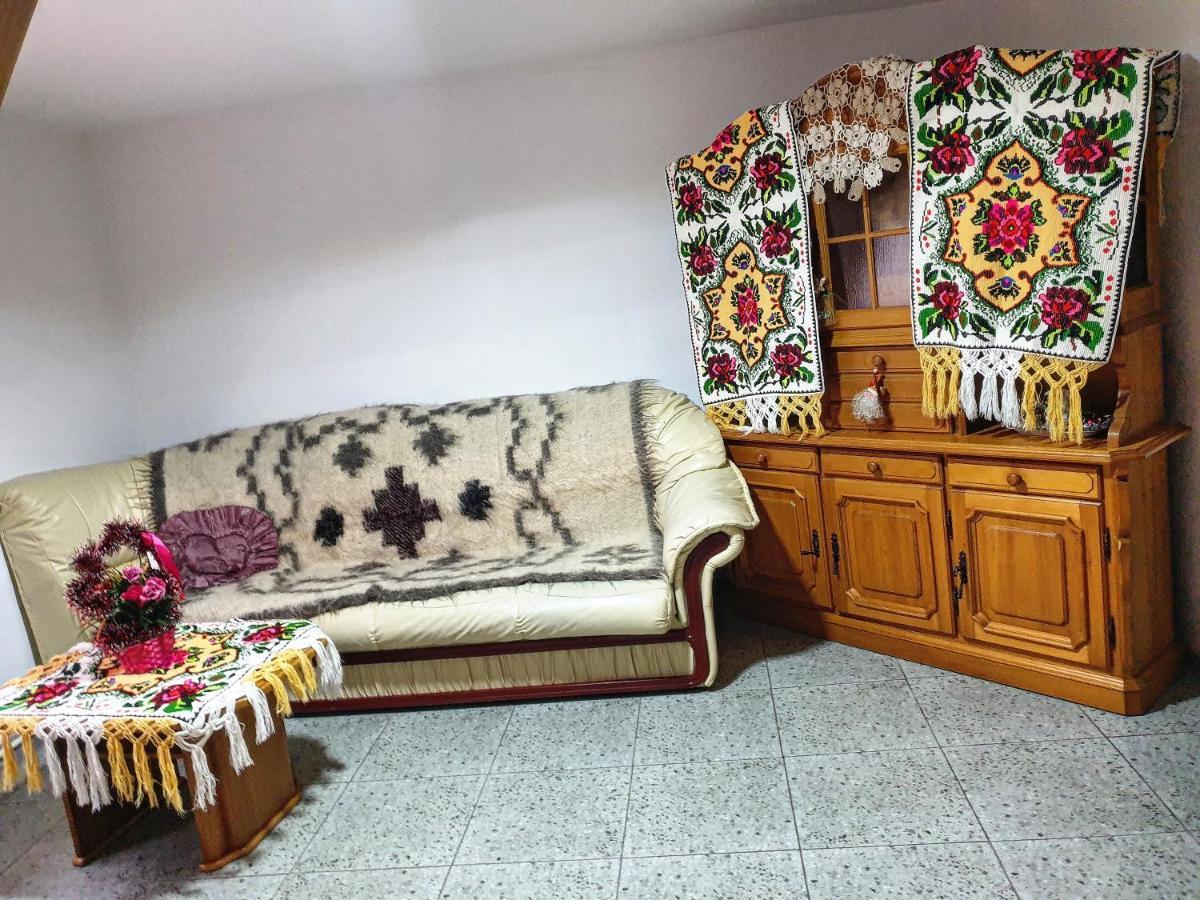 Villa Casa Roxana à Viseu de Mijloc Extérieur photo