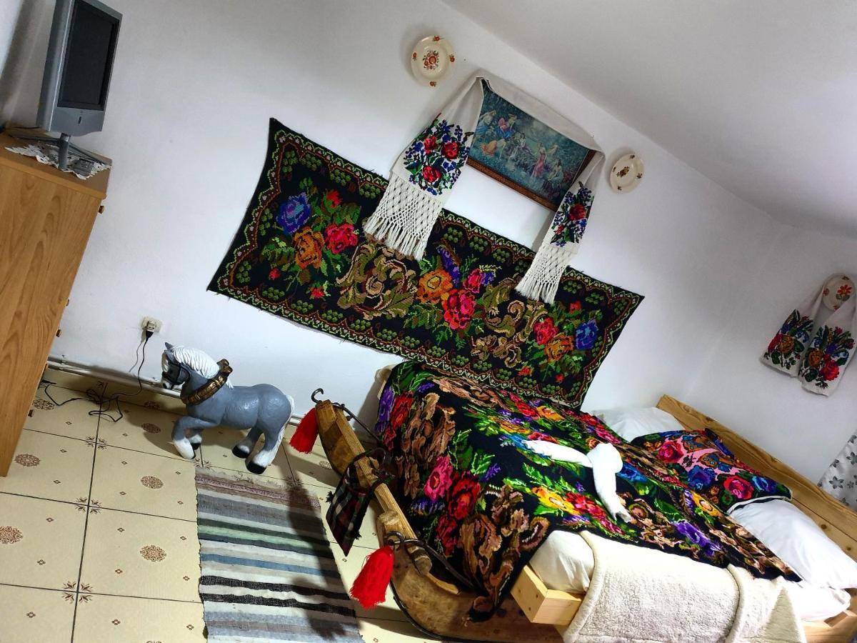 Villa Casa Roxana à Viseu de Mijloc Extérieur photo