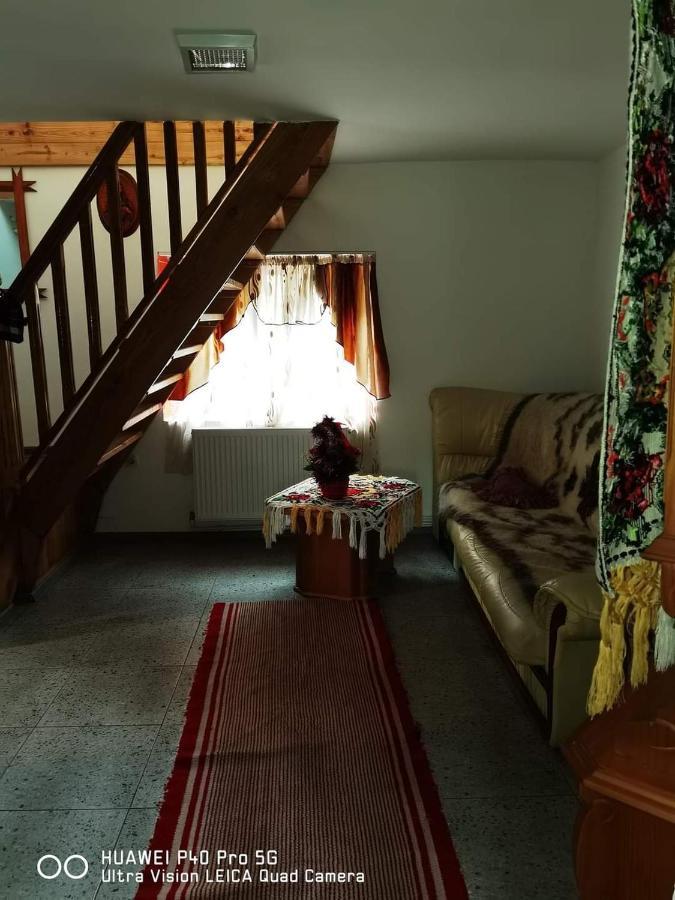 Villa Casa Roxana à Viseu de Mijloc Extérieur photo