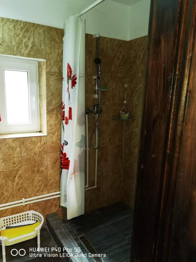 Villa Casa Roxana à Viseu de Mijloc Extérieur photo