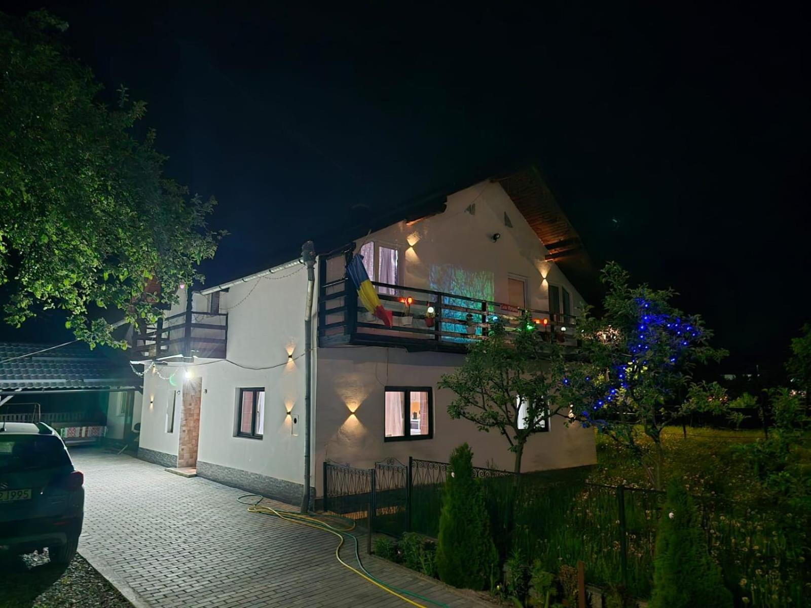 Villa Casa Roxana à Viseu de Mijloc Extérieur photo