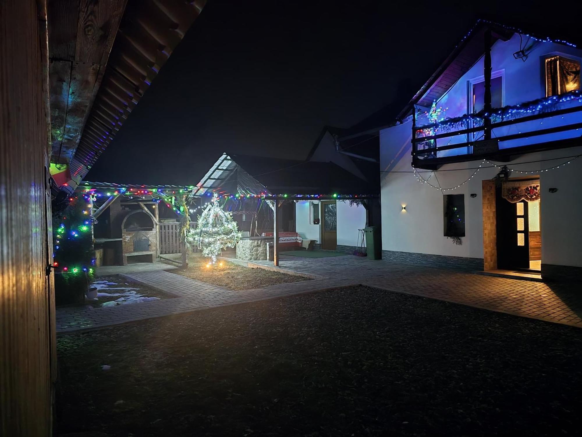 Villa Casa Roxana à Viseu de Mijloc Extérieur photo